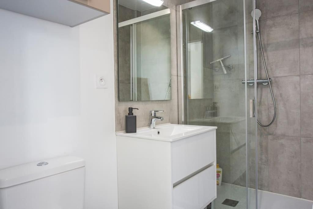 Bel Appartement Lumineux Proche Du Centre-Ville Douai Luaran gambar